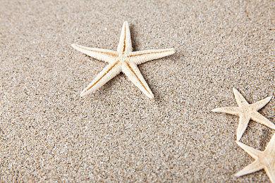 《极品飞车22》世界地图曝光 首发共20款新车